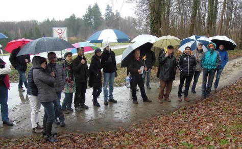 Haußmann Goldboden 2