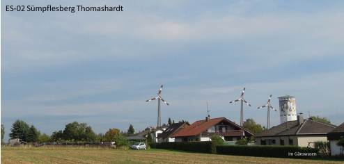 Sümpflesberg Gänswasen