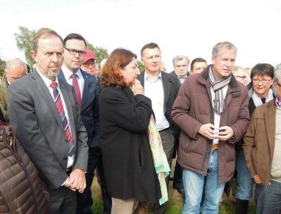 Baum mit rot-weißen Bändern